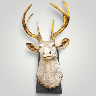 Caribou Head Design
