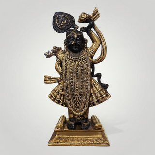 Shrinathji Krishna Murti