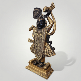 Shrinathji Krishna Murti