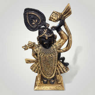 Shrinathji Krishna Murti