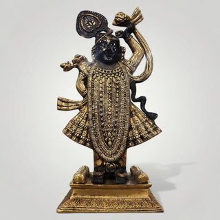Shrinathji Krishna Murti